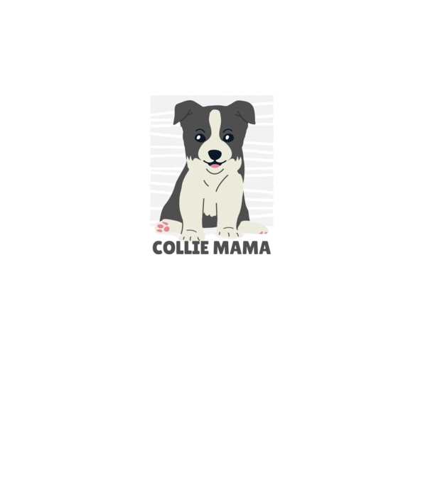Border Collie Anya minta türkiz pólón
