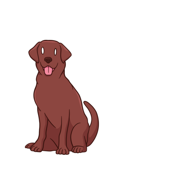Labrador minta fehér pólón