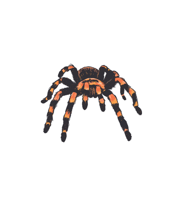 Tarantula  minta fehér pólón