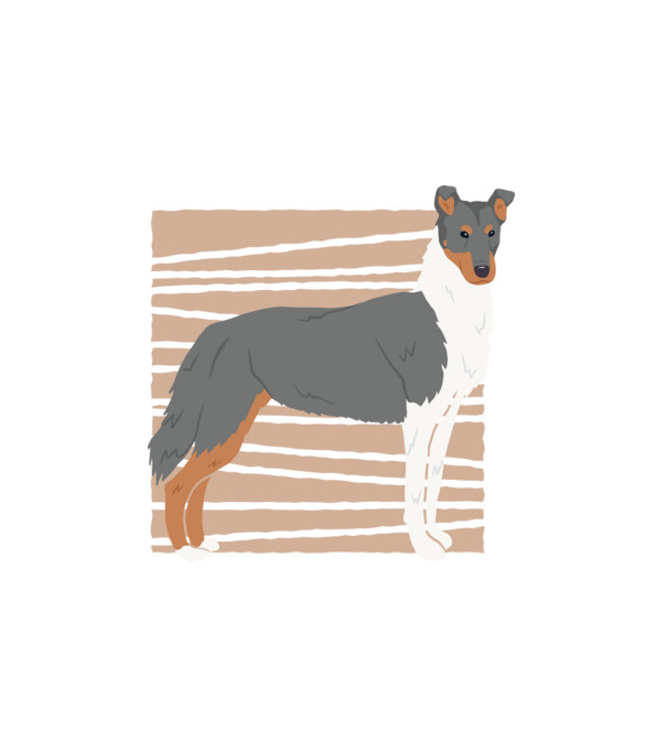 Cuki Collie minta fehér pólón