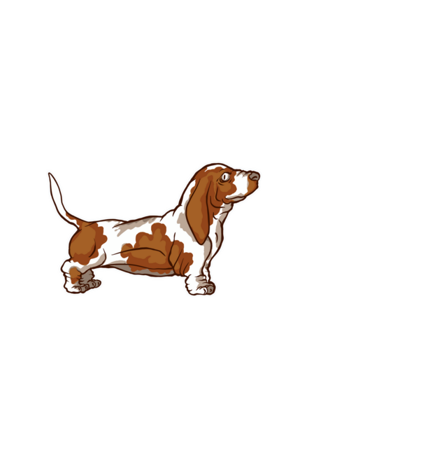 Basset Hound minta világoskék pólón