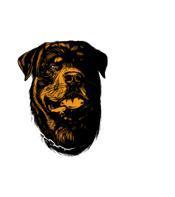 Rottweiller minta fehér pólón