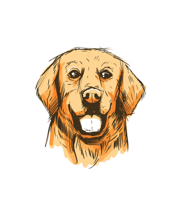 Golden retriever minta fehér pólón