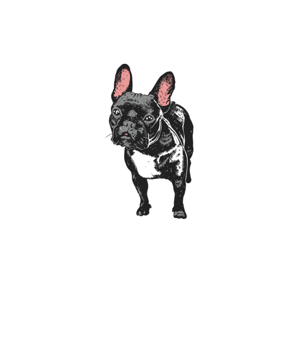 Francia bulldog minta fehér pólón
