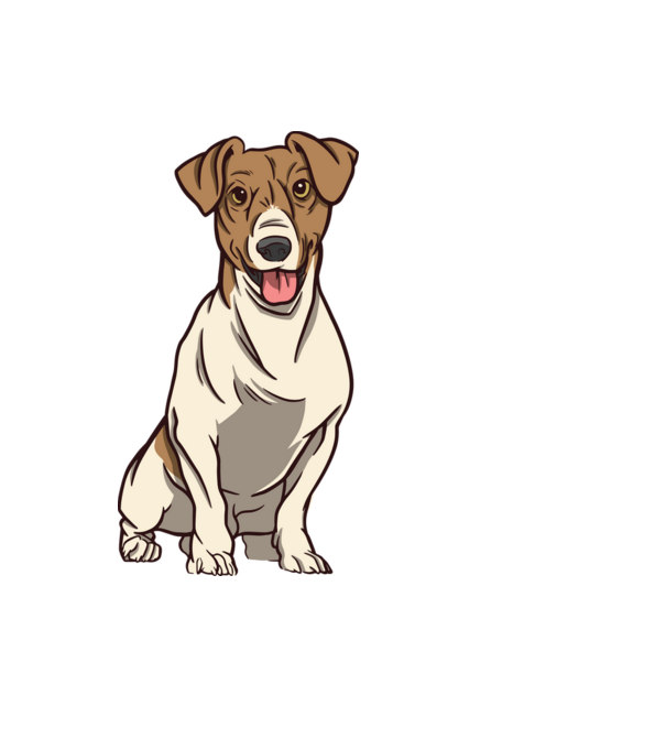 Jack Russell Terrier minta fekete pólón