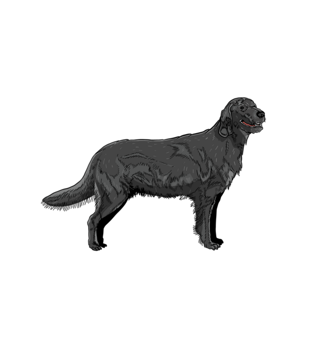 Retriever kutya minta fehér pólón