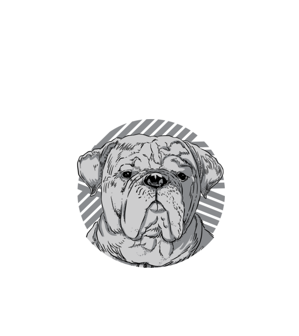 Bulldog minta fekete pólón