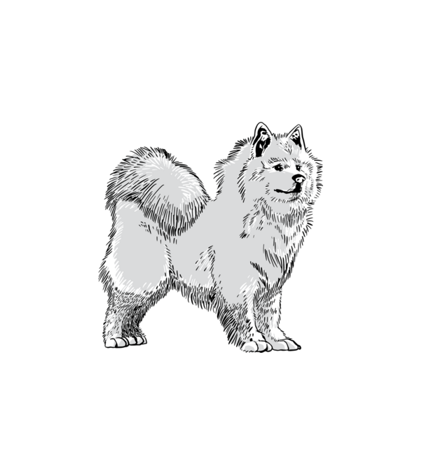 Siberian Dog minta fehér pólón