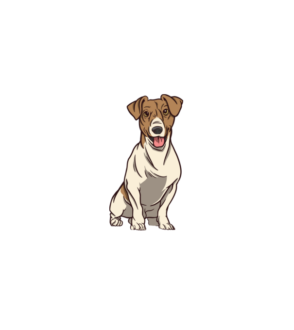 Jack Russell Terrier minta fehér pólón