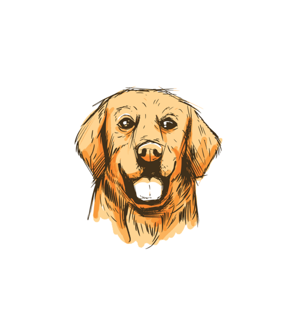 Golden retriever minta fehér pólón