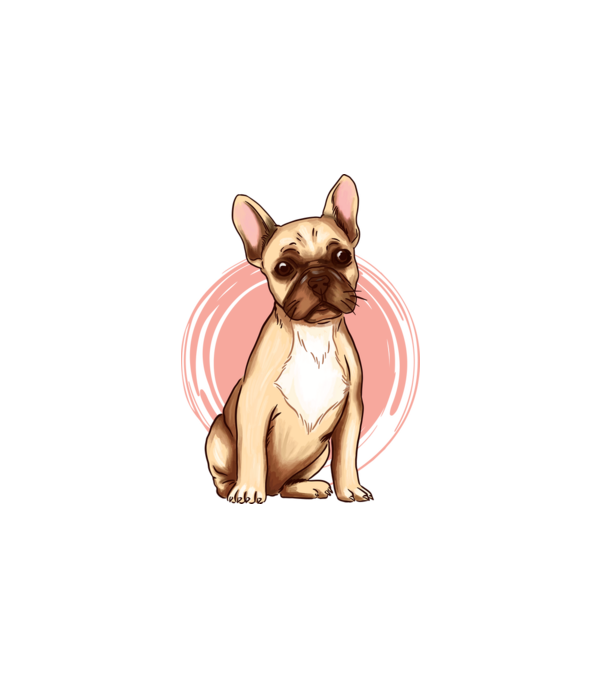 Francia bullldog minta fehér pólón