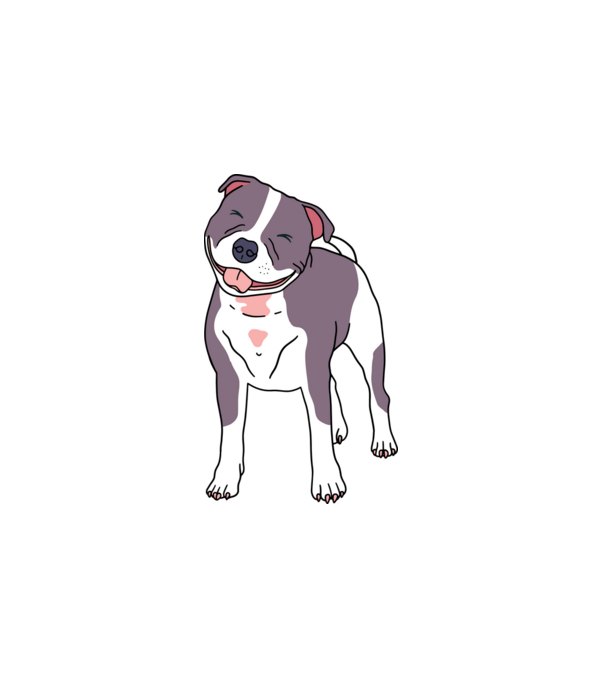 Mosolygó Staffordshire Bullterrier minta fehér pólón