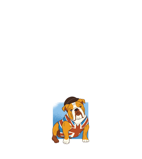 Angol Bulldog minta fehér pólón