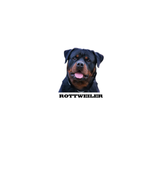 Rottweiler minta fekete pólón