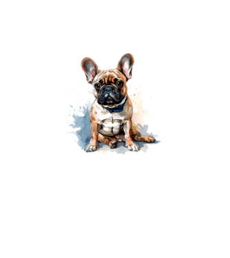 Francia bulldog  minta fehér pólón