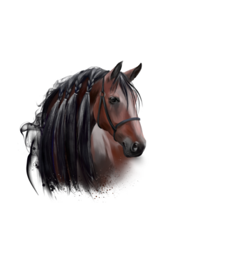 horse minta fehér pólón