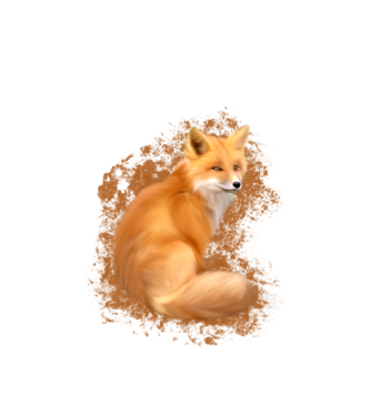 fox minta fehér pólón