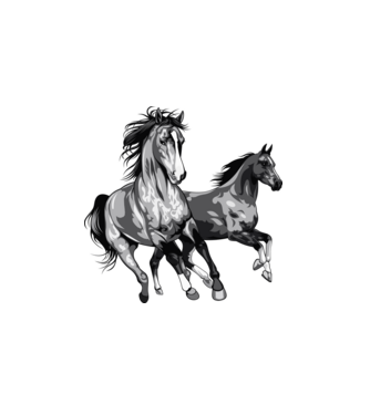 Horse minta fehér pólón