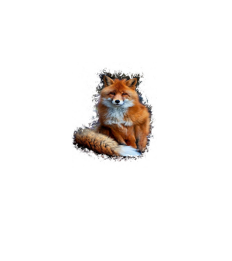fox minta fekete pólón