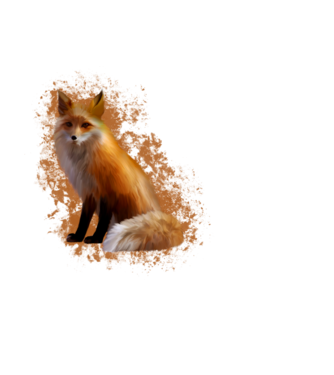 fox minta fekete pólón