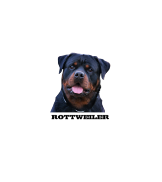 Rottweiler minta fekete pólón