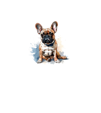 Francia bulldog  minta fehér pólón