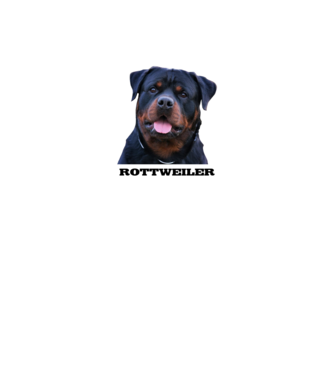 Rottweiler minta fekete pólón