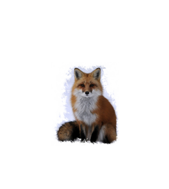 fox minta fehér pólón