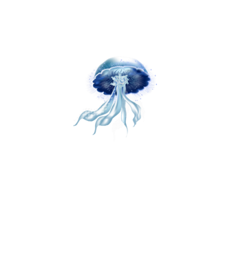 Jellyfish minta szürke pólón