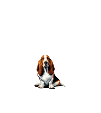 Basset hound minta fehér pólón