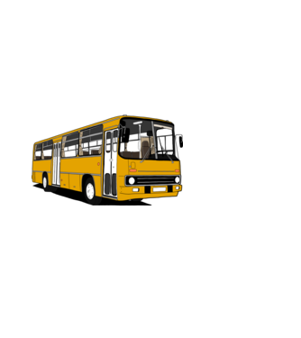 Busz minta fehér pólón