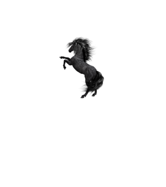 Horse  minta türkiz pólón