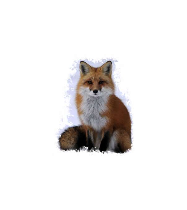 fox minta fehér pólón