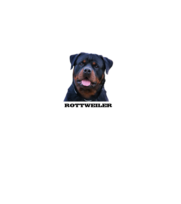 Rottweiler minta fekete pólón