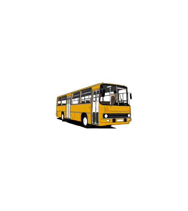 Busz minta homokszín pólón