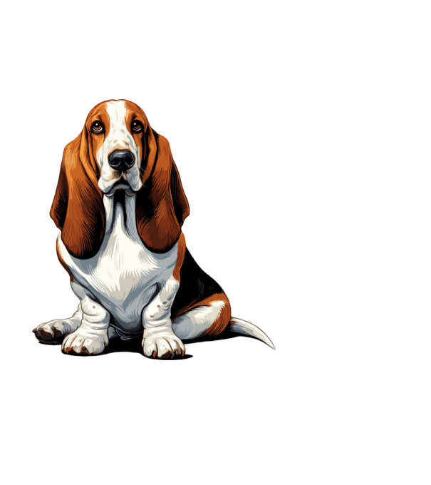 Basset hound minta fehér pólón