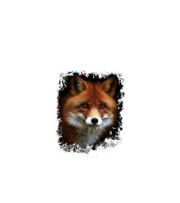 Fox minta fekete pólón