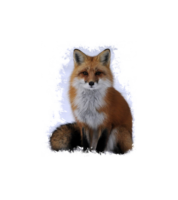 fox minta fehér pólón