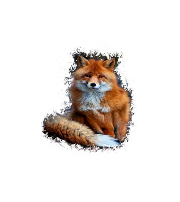 fox minta fehér pólón