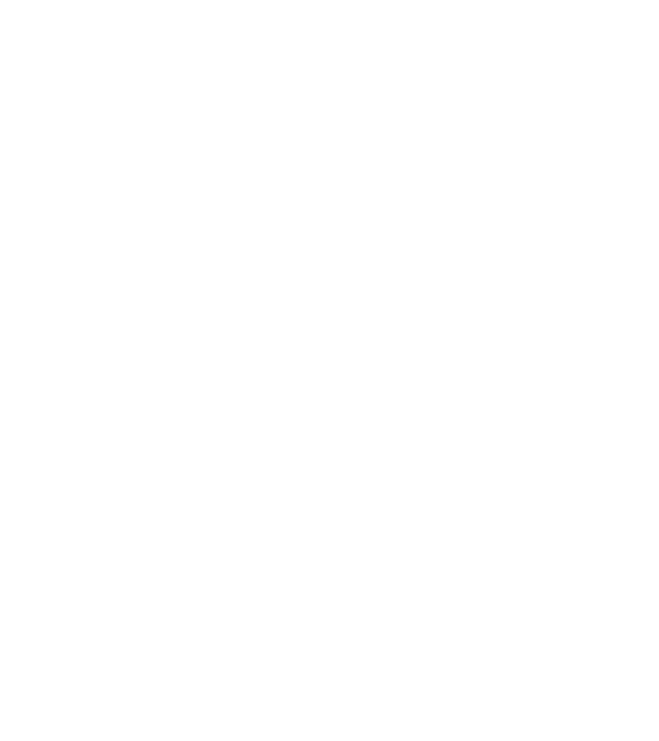 Dreamcatcher minta fekete pólón