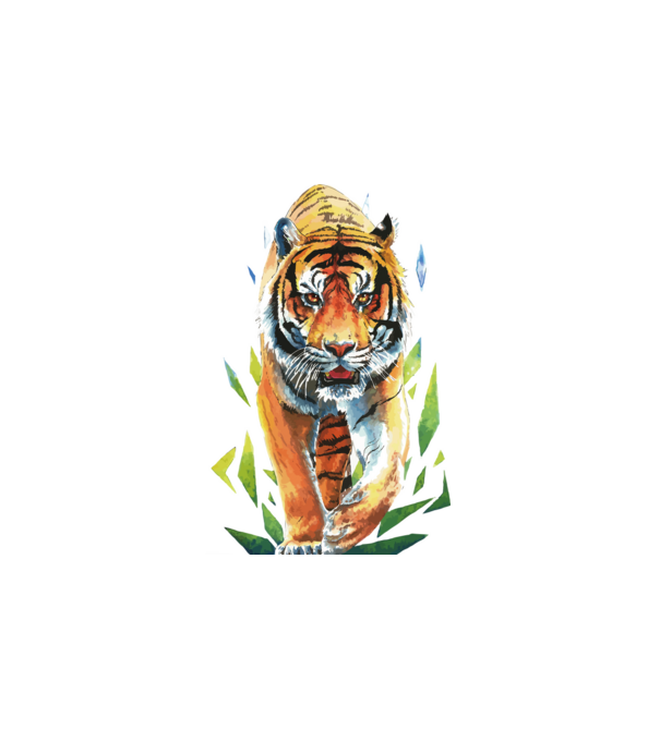 Tigris minta fehér pólón