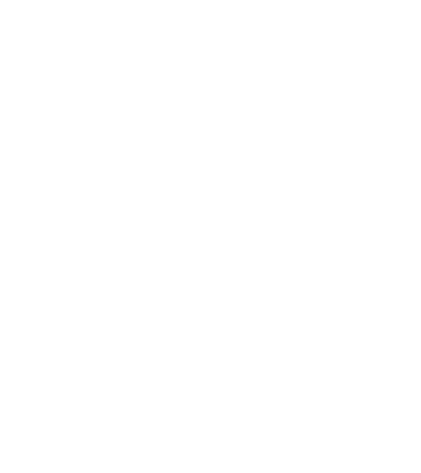 Dreamcatcher minta fekete pólón