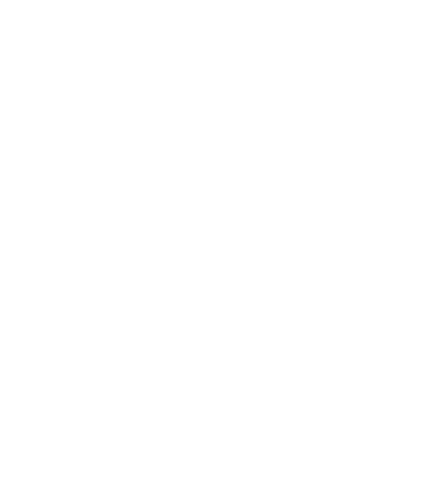 Dreamcatcher minta fehér pólón