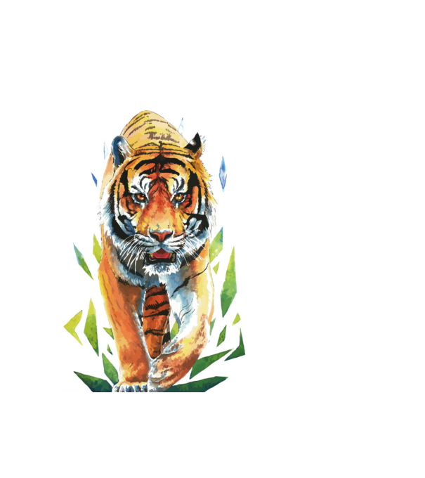 Tigris minta fehér pólón