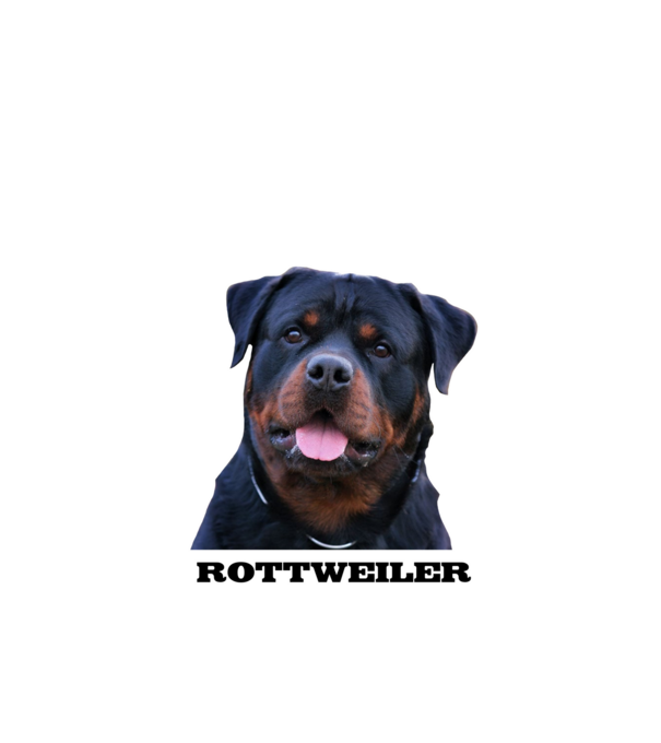 Rottweiler minta fekete pólón