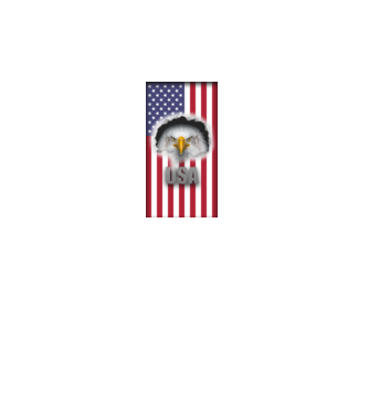 USA zászló és sas minta türkiz pólón