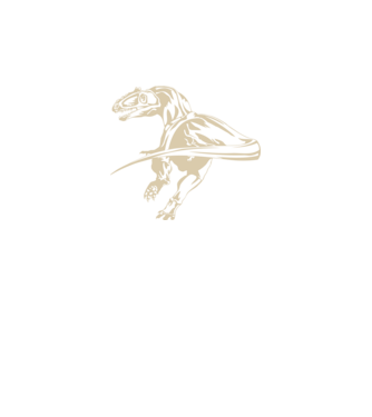 Raptor színezhető minta minta fekete pólón