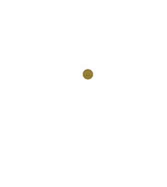FBI  minta fekete pólón