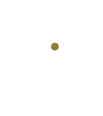 FBI  minta fekete pólón