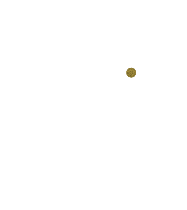 FBI minta neonsárga pólón